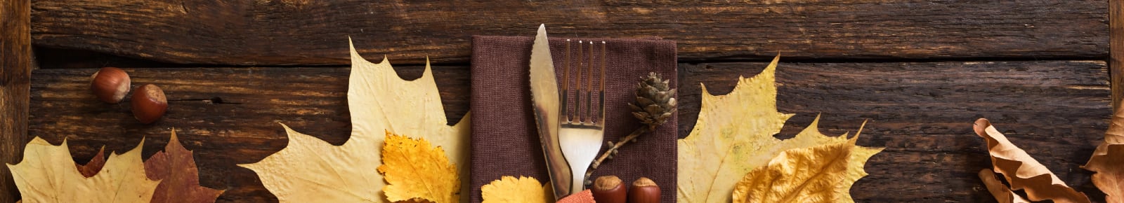 Thanksgiving Events Toledo